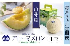 【3ヶ月定期便】静岡県産高級 アローマメロン 山等級1玉 約1.3kg以上×1玉×3回 計約3.9kg以上 化粧箱入 果物 フルーツ メロン めろん 青肉 高級ブランドメロン ブランドメロン 高級メロン 贈答