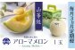 【3ヶ月定期便】静岡県産高級 アローマメロン 山等級 1玉 約3.9kg以上 化粧箱入