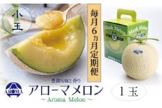 【6ヶ月定期便】静岡県産 高級 アローマメロン 小玉1玉 約0.9kg以上×小玉1玉×6回 計約5.4kg以上 化粧箱入 果物 フルーツ メロン めろん 青肉 高級ブランドメロン ブランドメロン 高級メロン 贈答