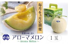 【6ヶ月定期便】静岡県産 高級 アローマメロン 白等級1玉 約1.0kg以上×1玉×6回 計約6.0kg以上 化粧箱入 果物 フルーツ メロン めろん 青肉 高級ブランドメロン ブランドメロン 高級メロン 贈答