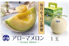 【6ヶ月定期便】静岡県産高級 アローマメロン 白等級 中玉1玉 約1.3kg以上×中玉1玉×6回 計約7.8kg以上 化粧箱入 果物 フルーツ メロン めろん 青肉 高級ブランドメロン ブランドメロン 高級メロン 贈答