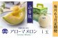 【6ヶ月定期便】静岡県産高級 アローマメロン 山等級 1玉 約7.8kg以上 化粧箱入