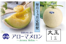 【3ヶ月定期便】静岡県産高級 アローマメロン 白等級 大玉1玉 約1.5kg以上×大玉1玉×3回 計約4.5kg以上 化粧箱入 果物 フルーツ メロン めろん 青肉 高級ブランドメロン ブランドメロン 高級メロン 贈答