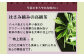 【吟雅缶】学生さん達と考えた 深蒸し茶 ギフトセット！ 絵柄が選べる 100g缶！ 自分への大感謝祭 セット お茶 茶缶 緑茶