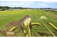 静岡県 菊川市 日本旅行 地域限定 旅行クーポン 15,000円分 ｜ チケット 旅行 宿泊券 ホテル 観光 旅行 旅行券 交通費 体験 宿泊 夏休み 冬休み 家族旅行 ひとり カップル 夫婦 親子 トラベルクーポン 菊川市旅行