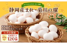 【 3ヶ月定期便 】「ホソヤさんちのいきいき卵」40個 （割れ補償 5個含む）セット ×3回 計120個 ｜ 静岡産まれ 菊川の耀たまご  化粧箱入 たまご 卵 玉子 生卵 静岡 国産 定期便