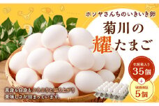 「 ホソヤさんちのいきいき卵 」菊川の耀たまご 40個 （ 割れ補償 5個含む ） セット｜ 化粧箱入 たまご 卵 玉子 生卵 静岡 国産
