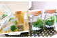 【B：動物フィギュア×1個（全9種よりランダム）】おうちで作ろう♪ 苔テラリウム手づくりキット小瓶 選べるアイテム【おうち時間】