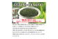 田舎づくり煎茶菊川 500g （100g×5袋）｜ 静岡県 静岡茶 煎茶 お茶 茶