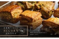 自家製 スコーン 詰め合わせ 100g × 6個入り｜ フルーツ ナッツ バター 洋菓子 お菓子 おかし 焼き菓子 焼菓子 スイーツ 手作り セット