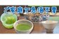 楽らく茶 100g パパット缶 詰め替え｜ 静岡県 静岡茶 粉末 粉末緑茶 緑茶 お茶 茶
