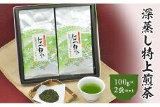 深蒸し特上煎茶 はつ緑 100g×2袋 セット 計200g｜ お茶 茶 深蒸し茶 煎茶 ギフト プレゼント 八十八夜摘み 静岡県産 静岡県 菊川市