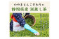 風呂敷包み 花市松缶入 深蒸し特上煎茶 100g×2缶 計200g （富喜緑 100g はつ緑 100g） セット