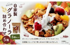 自家製グラノーラ 5種 詰め合わせ 100g×5個入り 計500g｜ グラノーラ プレーン 菊川茶 コーヒー スパイス チョコレート オートミール シリアル 朝食 おやつ お菓子 スイーツ セット