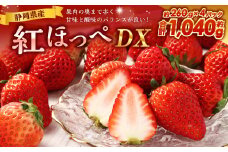 紅ほっぺ DX 約260g×4パック 計1,040g 【2025年1月上旬-2025年3月下旬発送予定】｜ いちご 苺 果物 くだもの フルーツ 紅ほっぺ