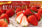 紅ほっぺ DX 約260g×4パック 計1,040g ｜ いちご 苺 果物 くだもの フルーツ 紅ほっぺ