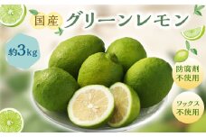 国産グリーンレモン 3kg【2024年10月上旬-11月下旬発送予定】｜  フルーツ 果物 柑橘 グリーンレモン レモン れもん 檸檬 国産 静岡県 菊川市