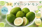 国産グリーンレモン 3kg｜  フルーツ 果物 柑橘 グリーンレモン レモン れもん 檸檬 国産 静岡県 菊川市
