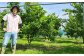 国産グリーンレモン 3kg｜  フルーツ 果物 柑橘 グリーンレモン レモン れもん 檸檬 国産 静岡県 菊川市