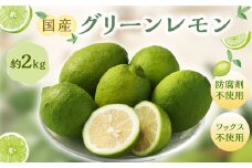 国産グリーンレモン 2kg【2024年10月上旬-11月下旬発送予定】 ｜フルーツ 果物 グリーンレモン レモン 柑橘 れもん 檸檬 国産 静岡県 菊川市