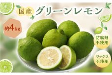 国産グリーンレモン  4kg【2024年10月上旬-11月下旬発送予定】｜ フルーツ 果物 グリーンレモン レモン 柑橘 れもん 檸檬 国産 静岡県 菊川市