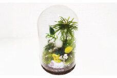 【さとリウム®】プリザーブド加工のテラリウム 春 1セット｜ テラリウム ガラスドーム 苔 こけ コケ 植物 鑑賞用 インテリア 水やり不要