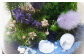 【さとリウム®】プリザーブド加工のテラリウム 夏 1セット