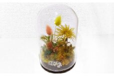 【さとリウム®】プリザーブド加工のテラリウム 秋 1セット ｜テラリウム ガラスドーム 苔 こけ コケ 植物 鑑賞用 インテリア 水やり不要