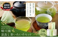 堀川園 深蒸し茶いろいろセット （ティーバッグ3種 計80包・茶葉 2種 計2袋）｜お茶 緑茶 煎茶 茶 一番茶 ティーバッグ 茶葉 国産 深蒸し茶 詰合せ 静岡県 菊川市 