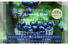 生ブルーベリー 計約400g（約100g×4パック）【2026年4月下旬-6月上旬発送予定】｜ ブルーベリー 果物 フルーツ 静岡県 菊川市