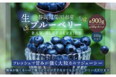 生ブルーベリー 計約900g（約100g×9パック）【2026年4月下旬-6月上旬発送予定】 ｜ブルーベリー 果物 フルーツ 静岡県 菊川市