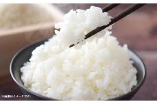 【令和7年産】静岡県産コシヒカリ 精米 5kg （5kg×1袋） 【2025年8月下旬～2026年8月下旬迄順次発送予定】 コシヒカリ こしひかり 白米 米 コメ こめ ご飯 ごはん 新米 菊川市 静岡県