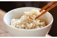 【令和7年産】静岡県産コシヒカリ 玄米 10kg （5kg×2袋） 【2025年8月下旬～2026年8月下旬迄順次発送予定】 コシヒカリ こしひかり 米 コメ こめ ご飯 ごはん 新米 菊川市 静岡県