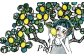 「レモンケーキのレモンちゃん 4個」と「ぼんじゅ～る（ラスク） 6個」のセット