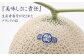 【4ヶ月定期便】訳あり静岡県産アローマメロン 1玉（1玉 約1.0kg以上）