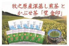 098-6 【令和7年5月より新茶出荷】 牧之原産 深蒸し茶「牧之原の雫」とかぶせ茶「望」  計11本 詰合せ セット お茶 茶 深蒸し 煎茶 旬 日常 のし 熨斗 贈答 ギフト 静岡県 牧之原市 澤田行平商店