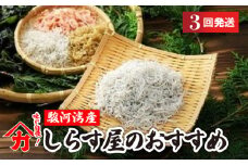 しらす 味が自慢の駿河湾産しらす屋のおすすめ 3回 発送 定期便 しょうゆ しらす 干し 釜揚げ 料理 丼 チャーハン パスタ うどん ごはん おかず おすすめ 新鮮 海 海鮮 静岡県 牧之原市 ヤマカ藤田商店