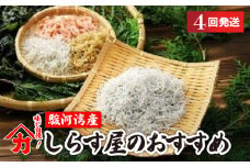 しらす 味が自慢の駿河湾産しらす屋のおすすめ 4回 発送 定期便 しょうゆ しらす 干し 釜揚げ 料理 丼 チャーハン パスタ うどん ごはん おかず おすすめ 新鮮 海 海鮮 静岡県 牧之原市 ヤマカ藤田商店