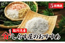 しらす 味が自慢の駿河湾産しらす屋のおすすめ 5回 発送 定期便 しょうゆ しらす 干し 釜揚げ 料理 丼 チャーハン パスタ うどん ごはん おかず おすすめ 新鮮 海 海鮮 静岡県 牧之原市 ヤマカ藤田商店