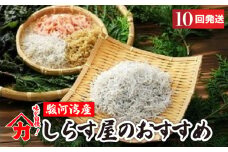 しらす 味が自慢の駿河湾産しらす屋のおすすめ 10回 発送 定期便 しょうゆ しらす 干し 釜揚げ 料理 丼 チャーハン パスタ うどん ごはん おかず おすすめ 新鮮 海 海鮮 静岡県 牧之原市 ヤマカ藤田商店
