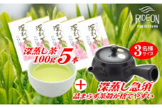 038-7　摘みたて！深蒸し茶100ｇ×5本とアイデア深蒸し急須セット
