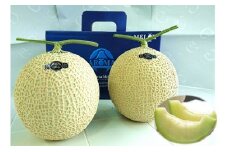 最高級 温室 アローマメロン 山級 2 玉 極み 1.4 kg ～ 1.5 kg × 2 玉 甘い アローマ メロン めろん 舐瓜 高品質 化粧箱 プレゼント ギフト お中元 お歳暮 父の日 母の日 敬老の日 お祝い 手土産 贈答 贈答用 贈答品 フルーツ くだもの 果物 スイーツ デザート ジューシー 甘い あまい 箱付き 美味しい おいしい 静岡メロン 人気 おすすめ 送料無料   糖度高め 