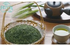 015-1　静岡茶農家仕込み「荒茶づくり」100ｇ×10袋セット