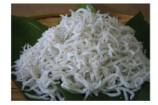 034-1 駿河湾海の幸セット 総 600g 以上 しらす 200g 桜えび100g たたみしらす 3枚 塩蔵わかめ 300g 魚介 魚 海鮮 シラス ワカメ 海老 エビ 産地直送 のし対応可 国産 マルカ名波商店 静岡県 牧之原市