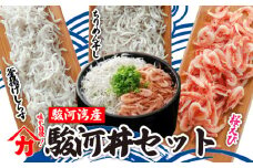 味が自慢！駿河湾産 釜揚げ しらす 桜 えび 駿河丼 セット ちりめん干し 釜揚げ しょうゆ しらす干し 釜揚げ 料理 丼 チャーハン パスタ うどん ごはん おかず おすすめ 新鮮 海 海鮮 静岡県 牧之原市 ヤマカ藤田商店