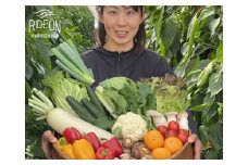 054-8　生産者の顔が見える！新鮮野菜厳選12品目以上