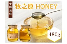 牧之原産はちみつ  はちみつ 蜂蜜 国産 240g × 2瓶 ハチミツ 純粋はちみつ 生はちみつ 百花 はちみつ 天然 ハニー 瓶 美容 健康 パンケーキ 菓子  国産 静岡県 牧之原市 中嶋養蜂