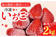冷凍 いちご 苺 2kg 1kg×2 完熟 紅ほっぺ ヘタ取り いちご 静岡 限定 苺 冷凍いちご イチゴ 果物 スイーツ いちご 紅ほっぺ 冷凍イチゴ 牧之原市 デザート フルーツ スイーツ アイス ジャム シャーベット かき氷 イチゴ ベリー ストロベリー 氷菓 冷凍 甘い オススメ いちご ギフト 贈答 プレゼント 人気 送料無料 3袋 便利 いちご 紅ほっぺ べにほっぺ 牧之原市 森木農園