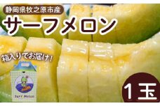メロン サーフメロン 1玉 マスクメロン フルーツ 果物 高級 ギフト プレゼント 贈答 おいしい ハウス栽培 甘い ジューシー ケーティー 静岡県 牧之原市