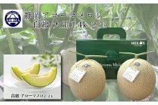 013-19  静岡県産　アローマメロン 白級  2玉 化粧箱入 高級 甘い ジューシー ブランドメロン 極み 